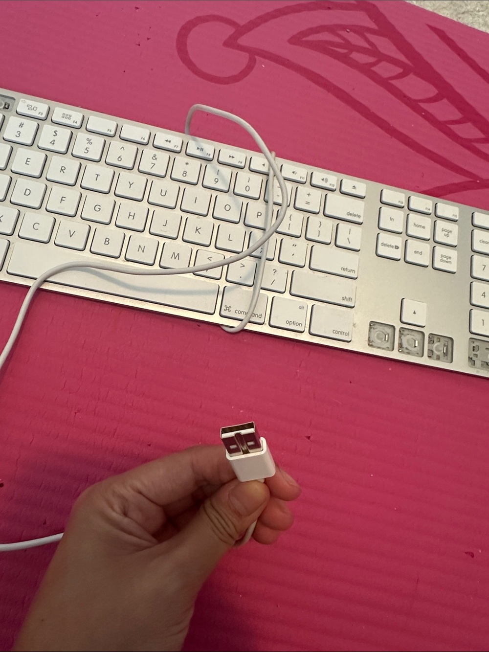 Apple keyboard - Picture 5 of 6